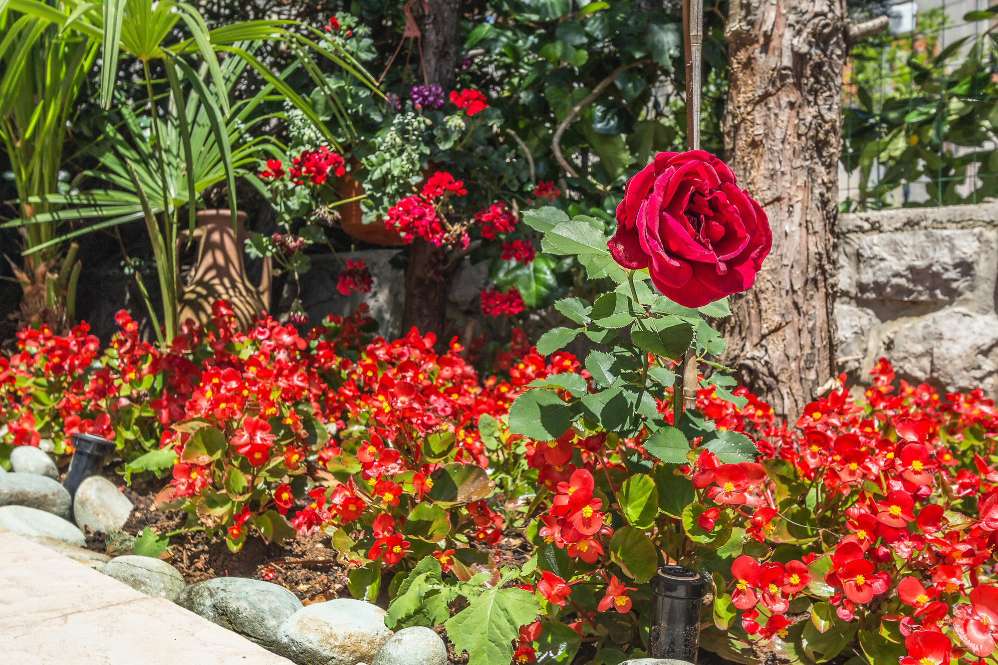 Villa Roses Apartments & Wellness Icici Luaran gambar